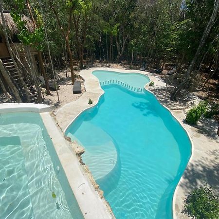 Aldea Maya-Ha Cabanas Con Cenotes Пуерто-Морелос Екстер'єр фото