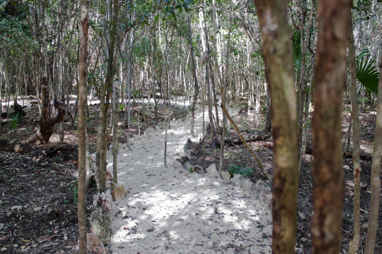 Aldea Maya-Ha Cabanas Con Cenotes Пуерто-Морелос Екстер'єр фото