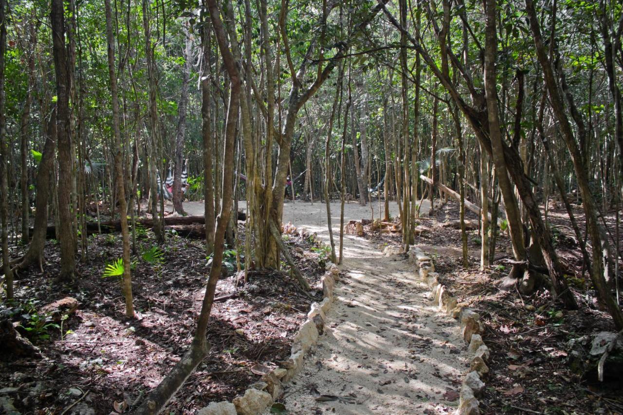 Aldea Maya-Ha Cabanas Con Cenotes Пуерто-Морелос Екстер'єр фото